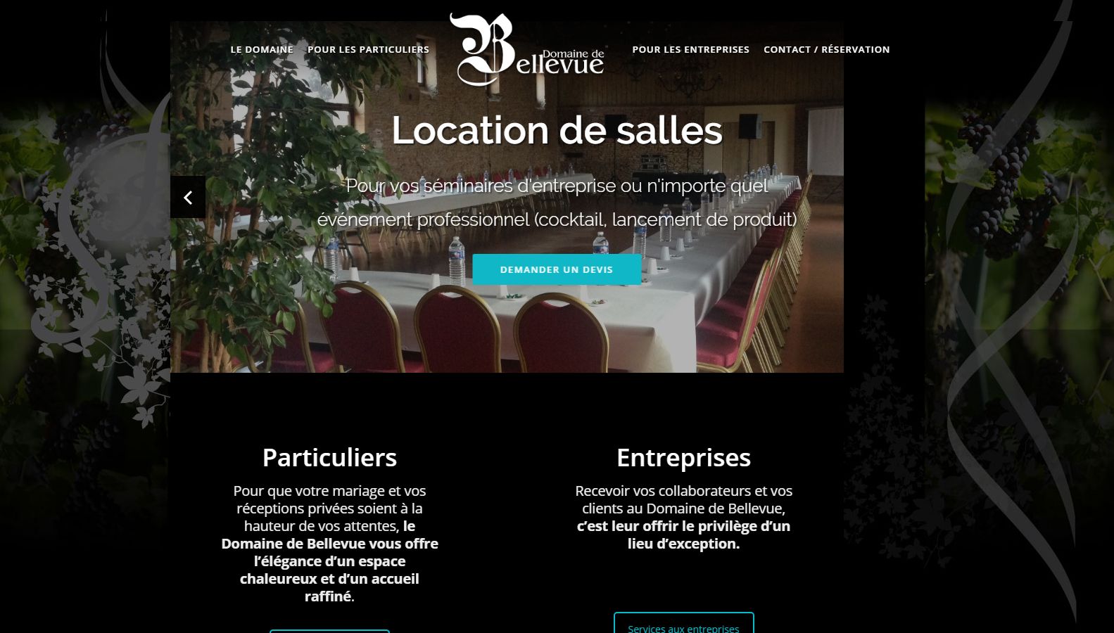 Réalisation RP2I (Romaric Pibolleau): Domaine de Belleuve - Site avec gestion autonome des diaporamas de photos